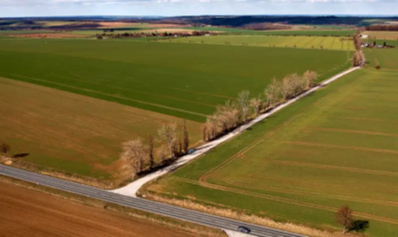 Naumburg: Alte Punschrauer Straße wird nicht reaktiviert - Land muss Flächen entsiegeln