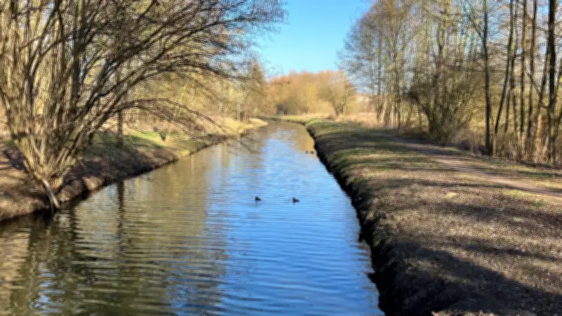 Neubrandenburg: Passanten verhindern Totschlag - Mann drückte Opfer in Bach