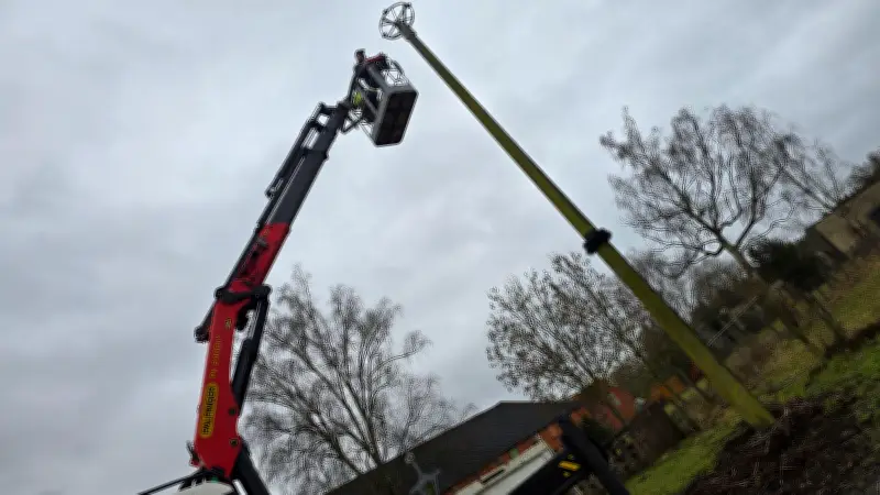 Neues Storchennest in Sückau: Ehrenamtliche schaffen sichere Brutstätte für Zugvögel