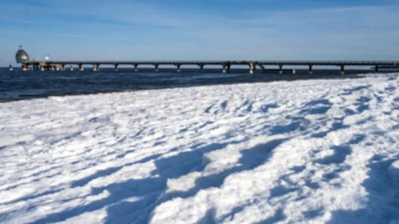 „Nichts darf man mehr“: Virale Videos vom Ostsee-Eis entfachen Freiheitsdebatte