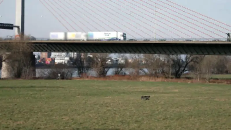 Nordbrücke in Bonn für Lkw gesperrt: Umwege wegen bröckelnder Brücke notwendig