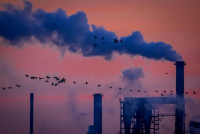 Norddeutsche Industrie reduziert Abhängigkeit von den USA in digitaler Infrastruktur