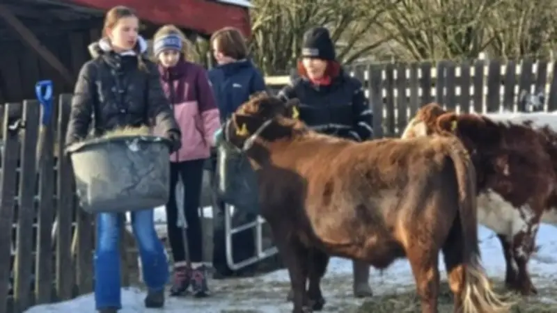 Ollendorf feiert 625. Geburtstag mit Festen und Blick in die Zukunft