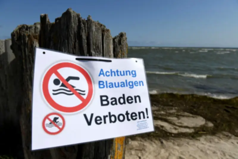 Ostsee leidet unter schwerer Nährstoffhypothek - Verbesserung bleibt aus