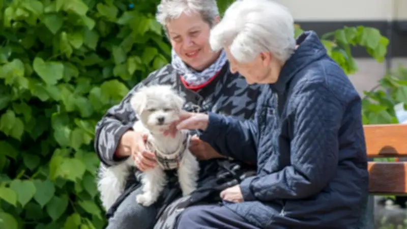 Parchim: Schulung für ehrenamtliche Betreuer zu Sozialgesetzgebung und Pflegeversicherung