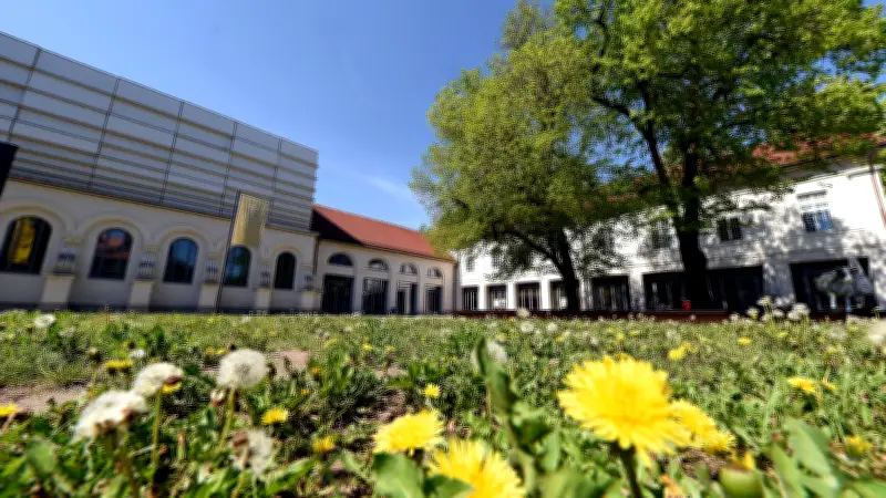 Petition gegen AfD-Bürgerdialog in Köthen: Schloss-Vermietung sorgt für Kontroverse