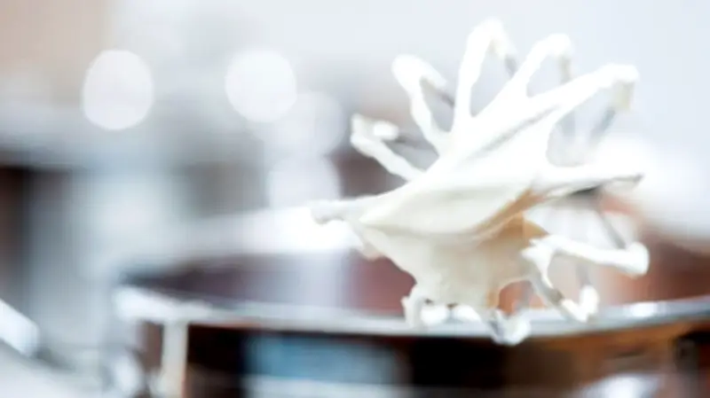 Plattdeutsches Wort des Jahres 2026: Suche nach dem Nachfolger von 'Schlackermaschü' beginnt