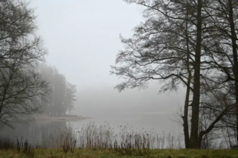 Polizei führt Sprengübungen im Grunewald durch – Anwohner müssen sich keine Sorgen machen