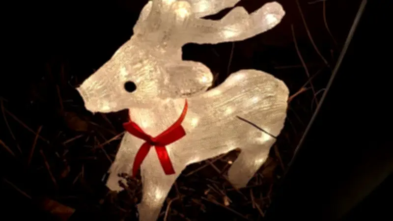 Polizei Neubrandenburg fahndet nach gestohlenen Deko-Figuren: Schneemann Bruno und Reh Bambi