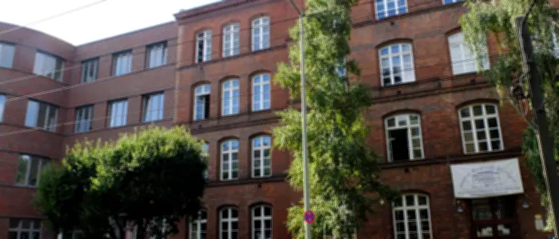 Proteste scheitern: Gericht erlaubt umstrittene Baumfällungen an Berliner Schule