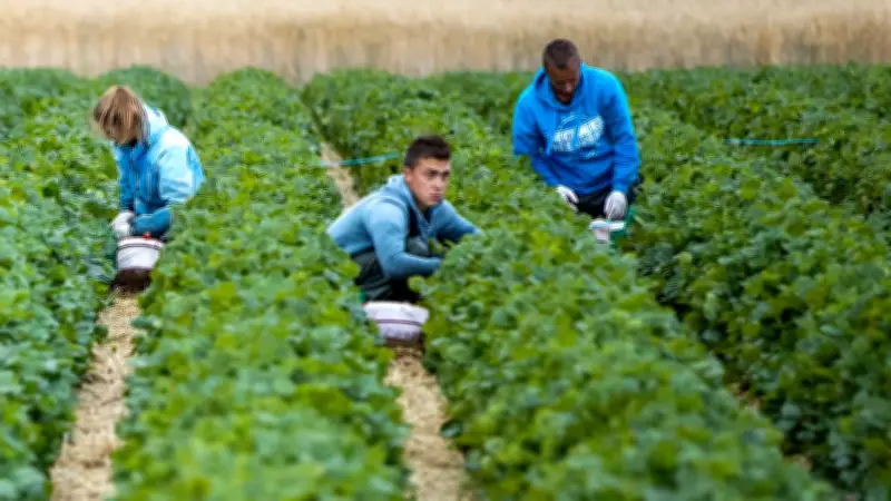 Regierung ohne Plan: Chaos bei Arbeitsmigration - Niemand weiß, wer bleibt oder geht