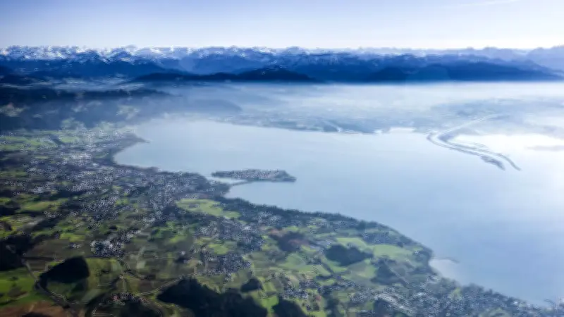 Rekord-Wels im Bodensee: 2,60 Meter langer Gigant von Berufsfischer gefangen