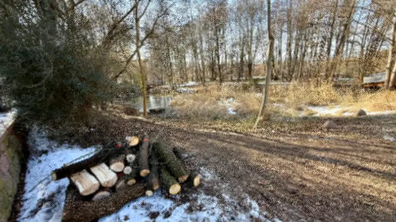 Renaturierung des Europadorf-Teichs in Meinsdorf: Ortschaftsrat fürchtet Mondlandschaft nach Entschlammung