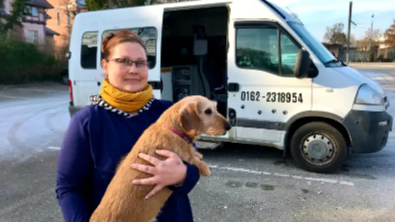 Rollender Hundesalon: Diese Friseurin stylt Vierbeiner direkt vor der Haustür