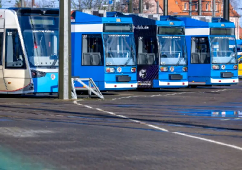 Rostocker Nahverkehr verzeichnet leichten Fahrgastrückgang im Jahr 2025