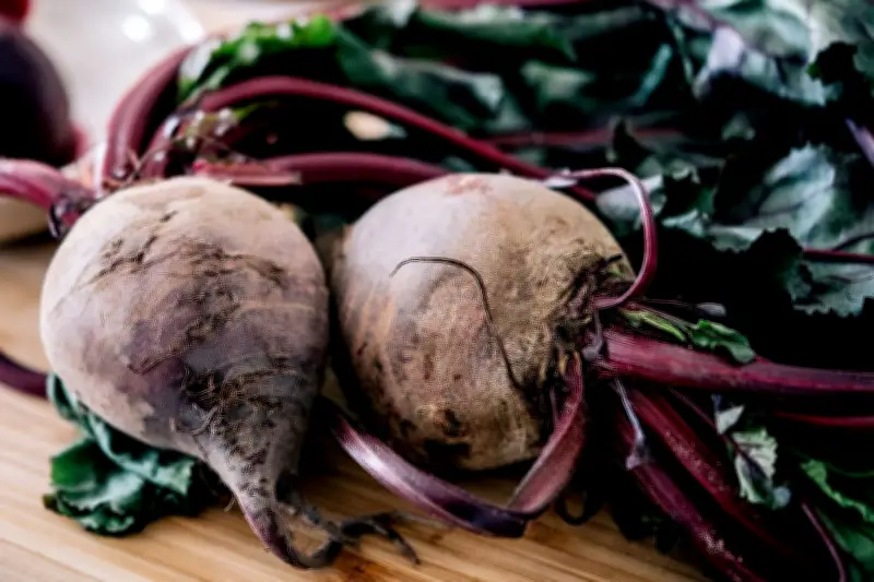 Rote Bete: Vom Hausmannskost-Klassiker zum kulinarischen Star in Skandinavien und Österreich