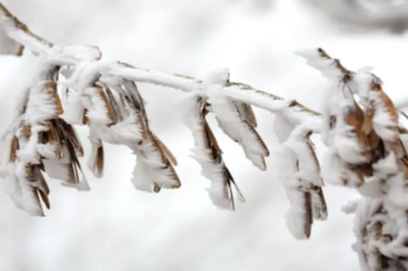Sachsen-Anhalt friert weiter: Bis minus zwölf Grad und Schnee erwartet