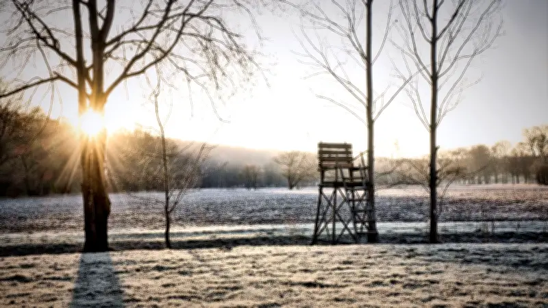 Sachsen-Anhalt: Glatteisnacht vor frühlingshaftem Wochenende - Wetterextreme im Februar