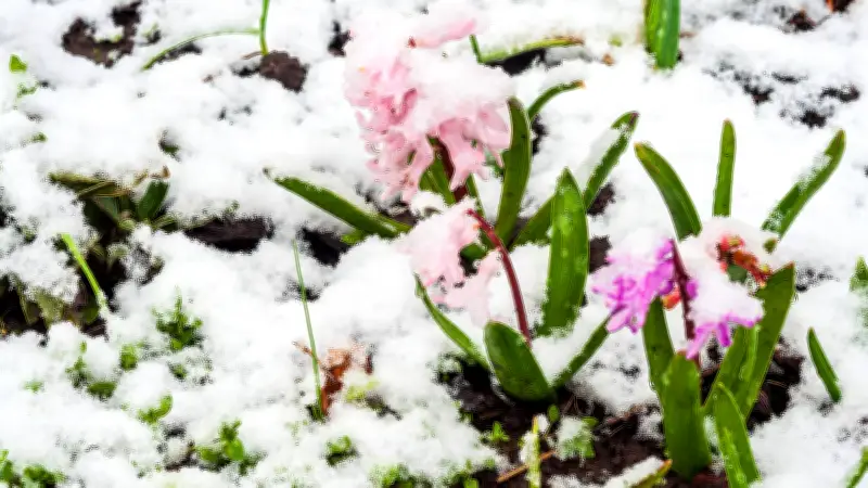Sachsen-Anhalt: Klirrende Kälte weicht frühlingshaften Temperaturen am Wochenende