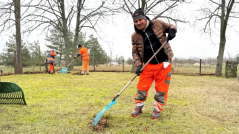 Sachsen-Anhalts Landräte fordern mehr Pflichtarbeit für Bürgergeld-Bezieher und Asylbewerber