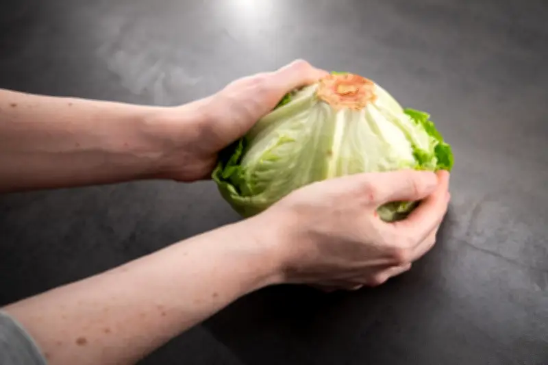 Salat putzen mit dem Schlag-Trick: Unser Hack-Check enthüllt die Wahrheit