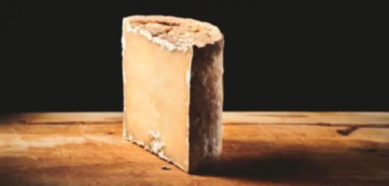 Salérac L'Authentique: Ein moderner Käse aus der Auvergne bewahrt die Tradition