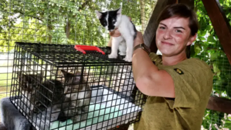 Sangerhäuser Tierheim: Gebührenerhöhung steht bevor – Stadtrat entscheidet am 5. März