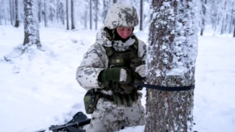 Satellitenbilder enthüllen: Russische Rodungen und Bauarbeiten nahe Finnland