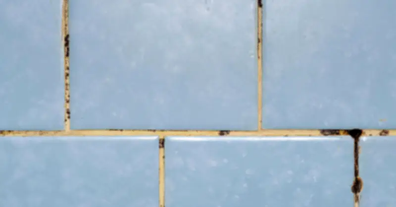 Schwarzer Schimmel im Bad effektiv bekämpfen: Hausmittel statt Chemiekeule