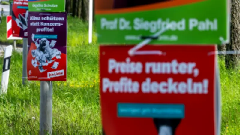 Schwerin erlässt strikte Plakat-Regeln für OB-Wahl: Schluss mit dem Schilderwald