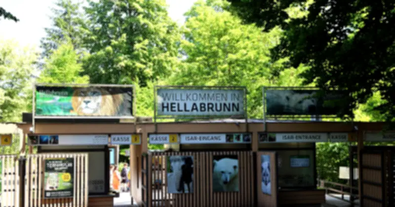 Sensation in Hellabrunn: Erster Schimpansen-Nachwuchs seit über 20 Jahren erblickt das Licht der Welt