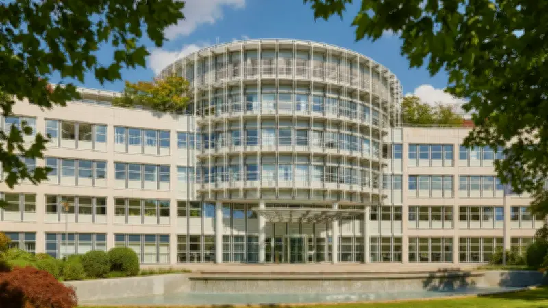 SEO Agentur Hannover: So steigern Sie Ihre Online-Sichtbarkeit nachhaltig