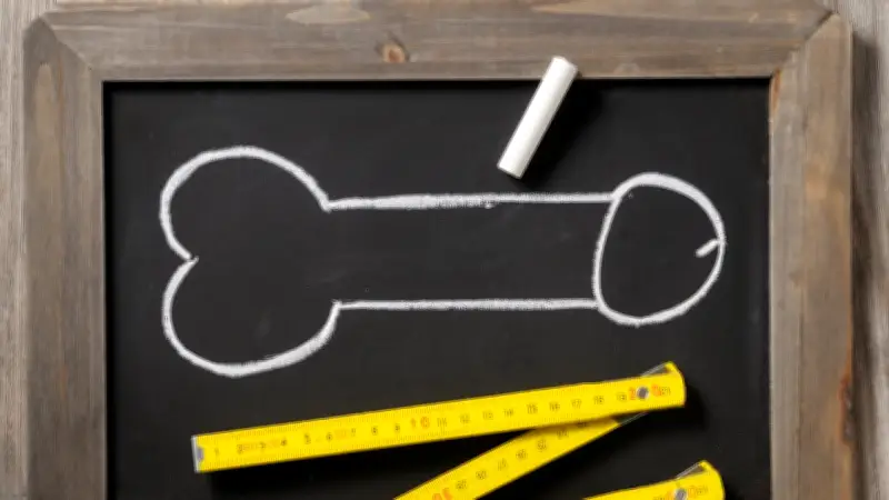 Sexuelle Aufklärung im Wandel: Wie eine Bio-Lehrerin mit Holzpenis und Humor prägte