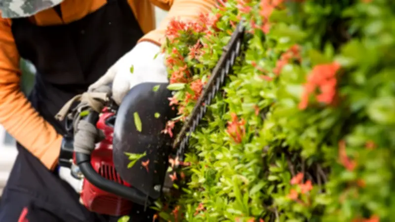 Sicherheitsrisiko im Garten: Einhell ruft Akku-Heckenschere wegen gefährlicher Fehlfunktion zurück