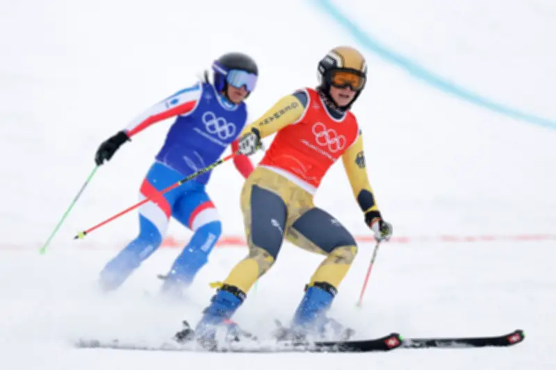 Skicross-Weltcup in Serbien: Maier scheitert früh, Hronek siegt nach Finale-Sturz
