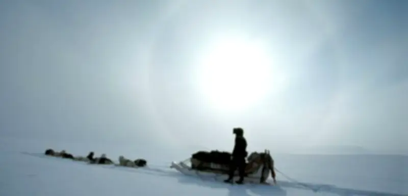 SPIEGEL+ Zugangsmodell: Digital-Abo mit flexiblen Optionen für Leser