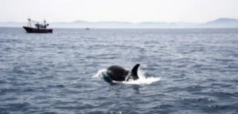 SPIEGEL+ Zugangsmodell: So funktionieren die Abos für exklusive Inhalte