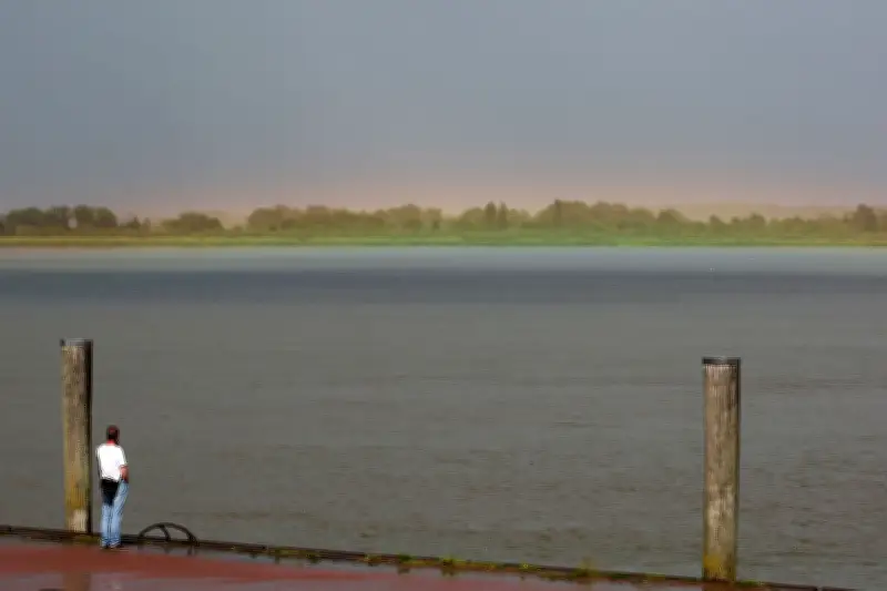 Stade erhält neuen Schiffsanleger: Bauarbeiten am Stadersand starten bald