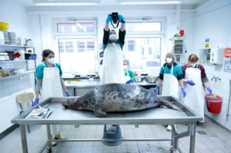 Strafbefehle gegen Fischer nach tödlichem Robbensterben vor Rügen erlassen