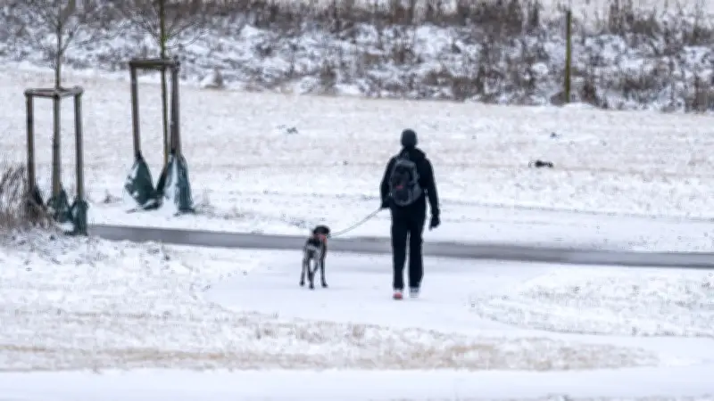 Streit beim Gassigehen in Schwerin eskaliert: Frau mit Hundeleine verletzt