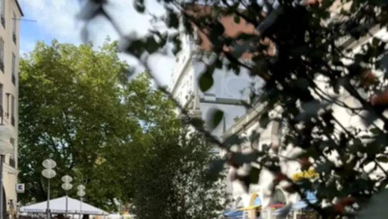 Streit um Münchens grüne Innenstadt: Bis zu 96.000 Euro pro Baum?