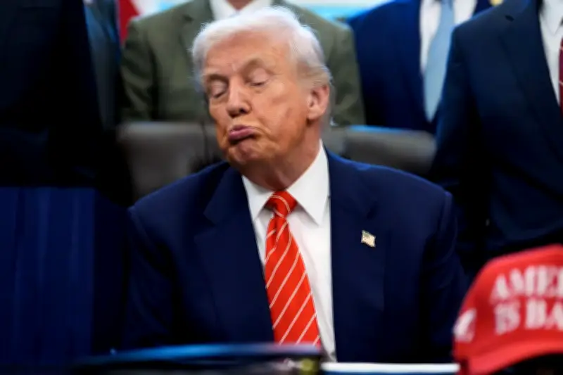 Strengere Wähleridentifikation und Wahlkreisreformen: Trumps Pläne vor den Midterms