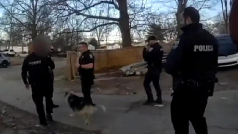 Streunender Hund rettet vermissten Dreijährigen in Kentucky – Polizei nennt ihn 'Lassie'