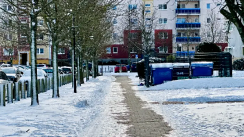 Streusalz-Verbot in Rostock: Drei Ermittlungen laufen gegen mutmaßliche Verstöße