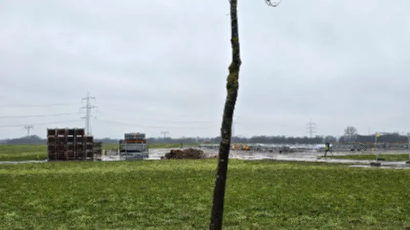 Stromtrassen in MV: Grundstücksbesitzer fühlen sich durch Veränderungssperren entmündigt