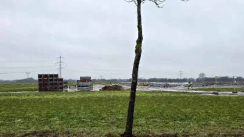 Stromtrassen in MV: Veränderungssperren für Grundstücke - Entmündigung für Bayern?