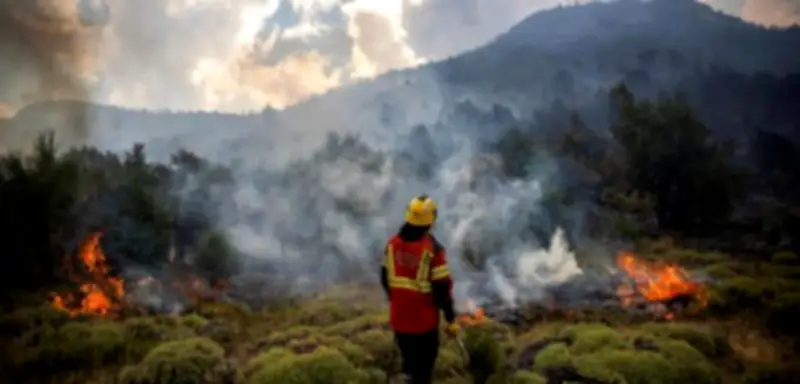 Studie: Waldbrandrisiko-Tage haben sich weltweit fast verdreifacht