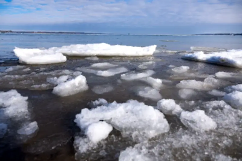 Tauwetter an der Ostsee: Eisdecke schmilzt durch milde Temperaturen