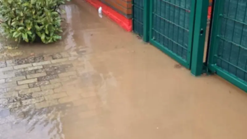 Tauwetter sorgt für Überschwemmungen: Dorfchef ruft Feuerwehr wegen Wassermassen