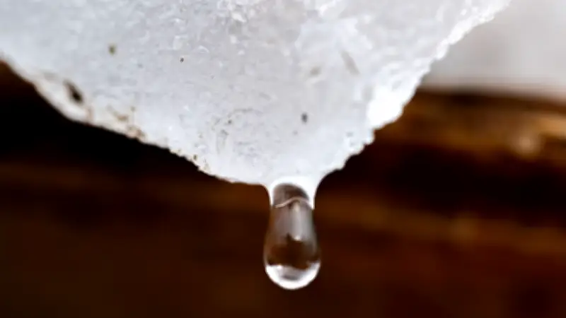 Tauwetter und Dauerregen: Bayern kämpft mit steigender Hochwassergefahr